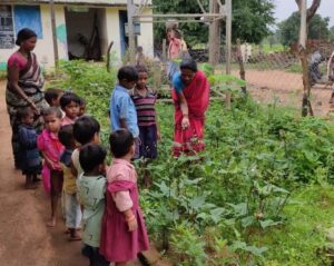 A nutrition garden has been constructed in 273 Anganwadi of Narayanpur,