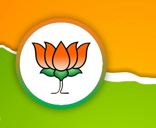BJP,rajya sabha,election,bjp,nominated,