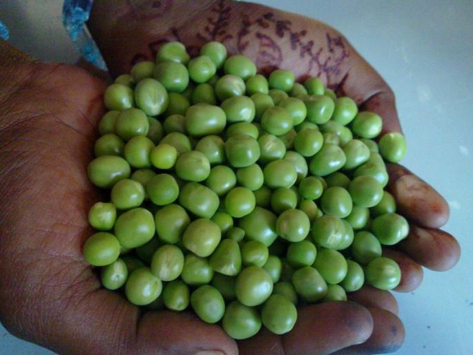 Benefits of Green Peas